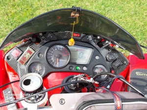 Quad